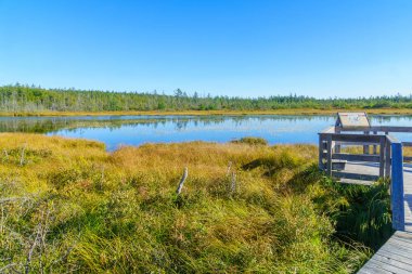 Alma, Amerika Birleşik Devletleri - 24 Eylül 2018: Fundy Milli Parkı, New Brunswick, Kanada Karibu Ovası bataklık görünümünü
