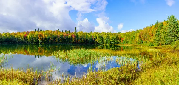 Panoramatický Pohled Lac Coutu Fall Listí Barvy Saint Donat Hory — Stock fotografie