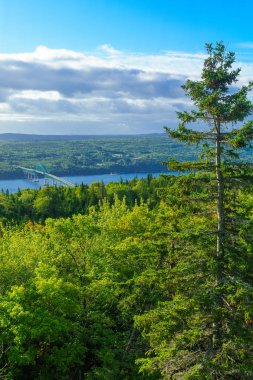 Cape Breton Adası, Nova Scotia, Kanada 'daki Seal Island Köprüsü manzaralı.