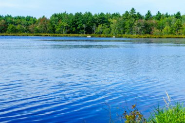 Yılan Gölü manzarası, Kejimkujik Ulusal Parkı, Nova Scotia, Kanada