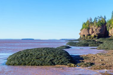 Düşük tide Coast'ta Hopewell kayalar görünümünü. New Brunswick, Amerika Birleşik Devletleri