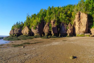 Düşük tide manzaraya Hopewell taş. New Brunswick, Amerika Birleşik Devletleri
