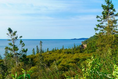 Fundy Trail Parkway parkındaki kıyı manzarası, New Brunswick, Kanada