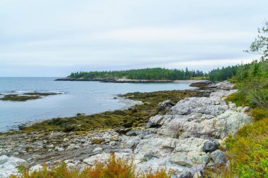 Kepçe Harbour geri koy, New Brunswick, Kanada kayalık bir plaj görünümünü