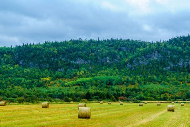 Görünümü hills Saint Andre, Quebec, Kanada ve kırsal