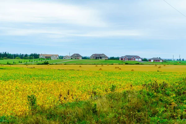 Görünümü Haystacks Indian River Prince Edward Island Kanada Yakın Kırsal — Stok fotoğraf