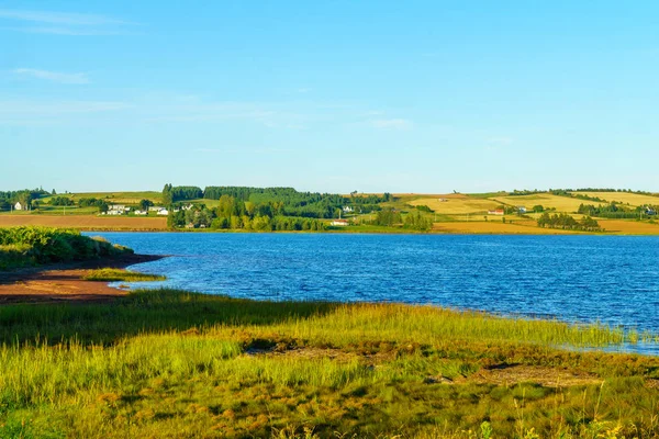 Landskapet Och Landsbygden Nära Victoria Prince Edward Island Kanada — Stockfoto