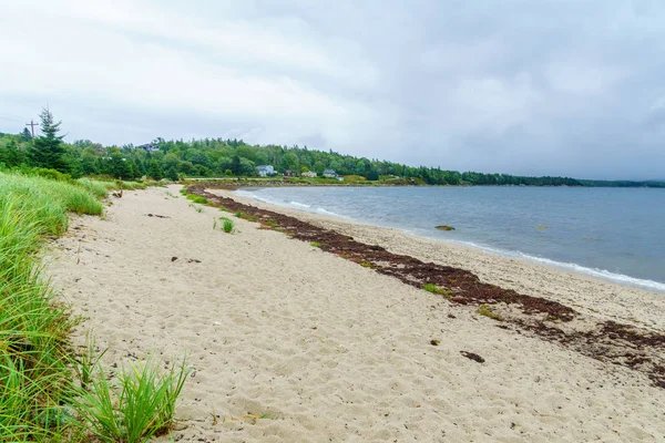 View Beach East River Nova Scotia Canada — Stock Photo, Image
