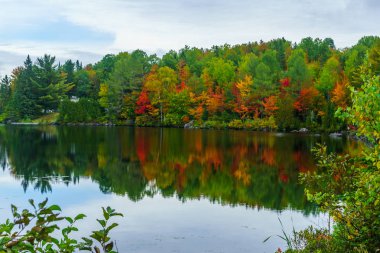 Laurentian Dağları, Quebec, Kanada 'da Masson Gölü manzarası yansımaları ve sonbahar yeşillikleri