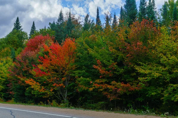 Nézd Fák Őszi Lombozat Színek Mont Tremblant Nemzeti Park Quebec — Stock Fotó