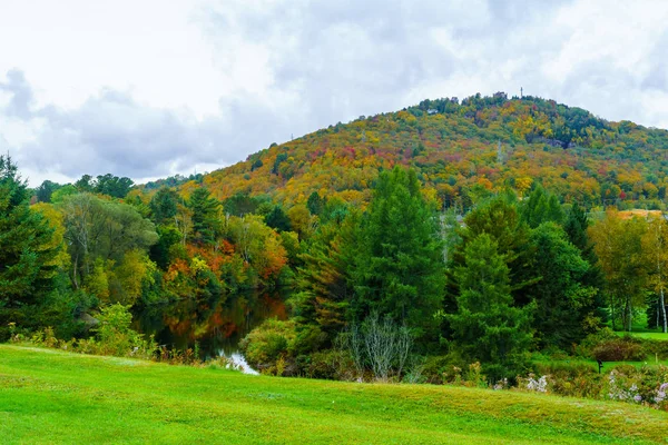 Ormanlık Tepeye Düşen Yapraklar Renklerde Sainte Adele Laurentian Dağlar Quebec — Stok fotoğraf