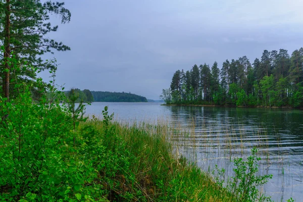 Краєвид Озера Лісового Вздовж Хребта Пункахарью Shouthern Савонія Lakeland Регіону — стокове фото