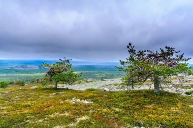 Ukko-Luosto düştü, Pyha-Luosto Milli Parkı'nda, Lapland, Finlandiya zirvesine üzerinden manzara