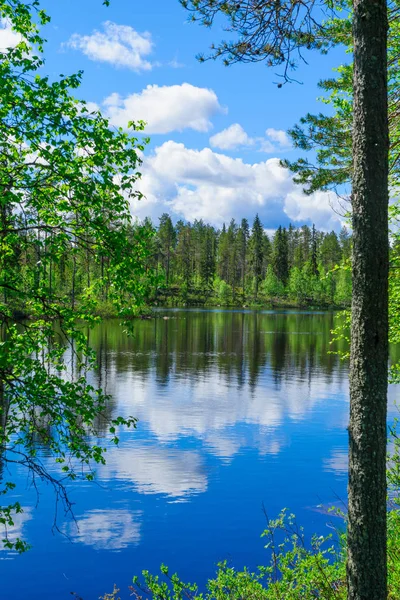 Lanskap Danau Dan Refleksi Dekat Taipaleenoja Posio Lapland Finlandia — Stok Foto