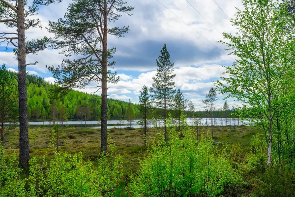 Paisaje Del Lago Kuntijarvi Cerca Kuusamo Finlandia — Foto de Stock