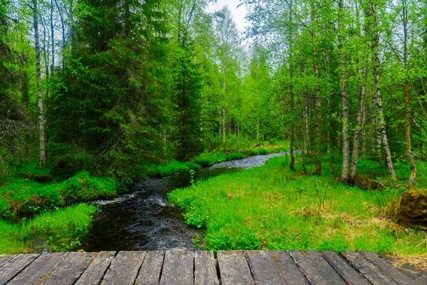 Proudu Les Rykimakero Stezce Národním Parku Pyha Luosto Lapland Finsko — Stock fotografie