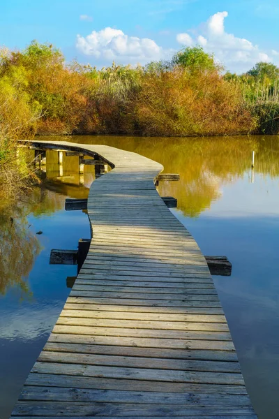 Blick Auf Einen Erhöhten Fußweg Über Das Wasser Naturschutzgebiet Afek — Stockfoto