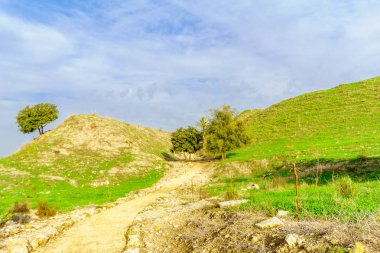 Görünümü Tel Megiddo Milli Parkı. Kuzey İsrail