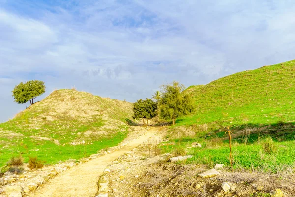 Görünümü Tel Megiddo Milli Parkı Kuzey Srail — Stok fotoğraf