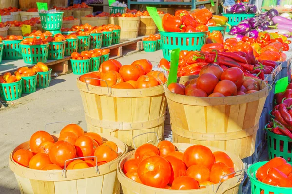 Помидоры Другие Овощи Продаже Рынке Жан Талон Район Маленькая Италия — стоковое фото