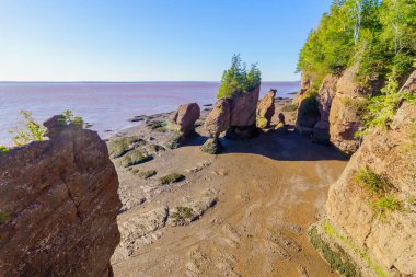 Hopewell Kayaları 'nın alçak gelgit manzarası, New Brunswick, Kanada
