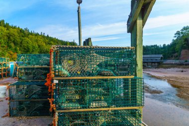 Istakoz tuzaklar içinde liman, St. Martins, New Brunswick, Amerika Birleşik Devletleri