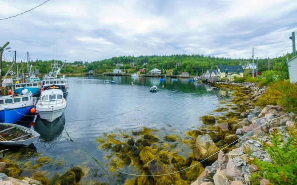 Vistas Baía Barcos Edifícios Beira Mar Northwest Cove Nova Escócia — Fotografia de Stock