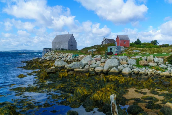 View Rocky Shore Waterfront Houses Fishing Village Indian Harbour Nova — Stock Photo, Image