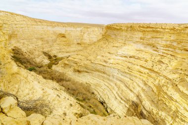 Kanyon, Ein Avdat Milli Parkı, Negev Çölü, Güney İsrail üst görünümü