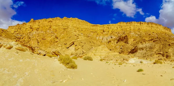 Vista Los Acantilados Del Monte Ardon Parte Makhtesh Cráter Ramón — Foto de Stock