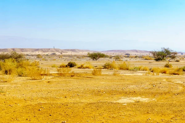 Utsikt Över Öknen Arava Södra Israel — Stockfoto