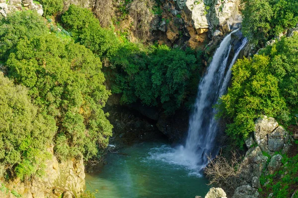 View Saar Waterfall Golan Heights Northern Israel — Stock Photo, Image