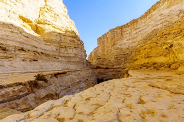 Ein Avdat Kanyon Milli Parkı, Negev Çölü, Güney İsrail
