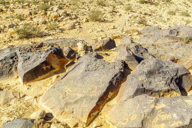 Sde Boker, Negev Çölü, Güney İsrail yakınındaki antik kaya engravements