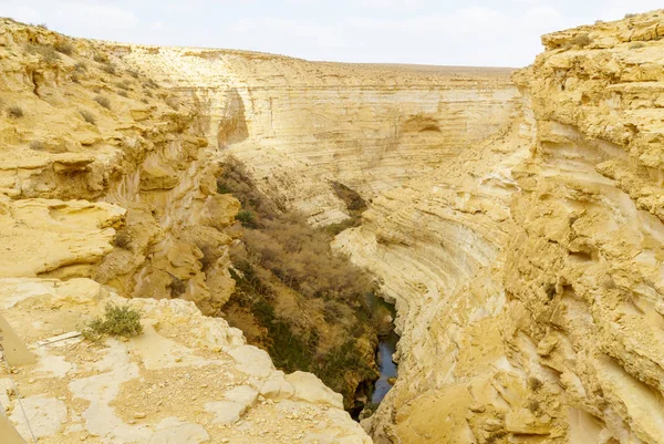Верхний Вид Каньон Национального Парка Эйн Авдат Пустыня Негев Южный — стоковое фото