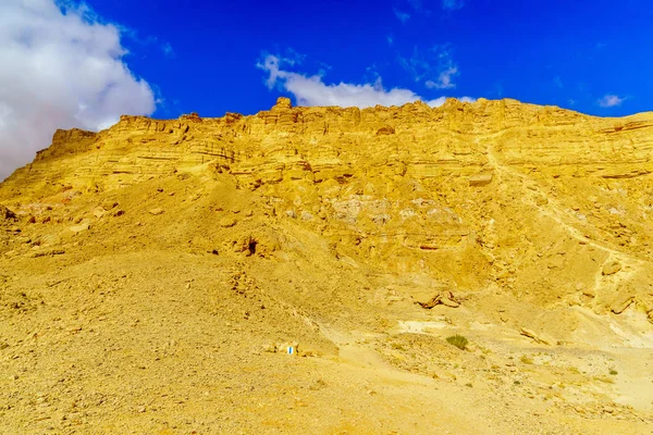 Vista Los Acantilados Del Monte Ardon Parte Makhtesh Cráter Ramón — Foto de Stock