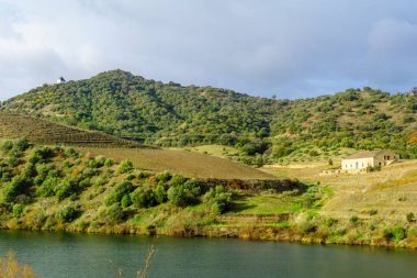 Kırsal ve Douro nehir ve Vadisi
