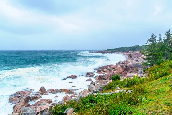 Landskap (nära Lakies Head), i Cape Breton Highlands National — Stockfoto