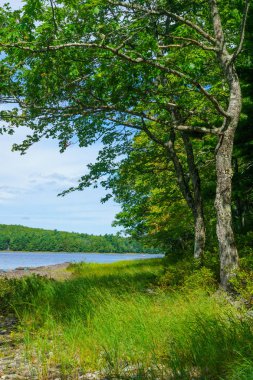 Mersey Nehri, Kejimkujik Milli Parkı 'nda