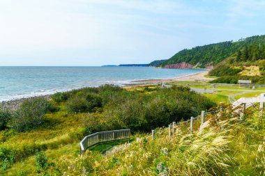 Fundy Trail Parkway kıyı peyzaj