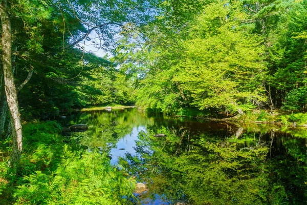 Fiume Mersey, nel Parco Nazionale Kejimkujik — Foto Stock