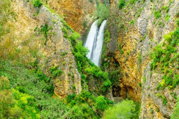 Naturreservatet Ayun Valley och vattenfallet Tanur — Stockfoto