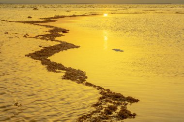 Ölü Deniz'de gün doğumu ve tuz oluşumları