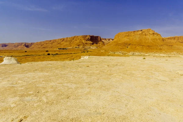 Fortaleza de Masada e Deserto da Judeia — Fotografia de Stock