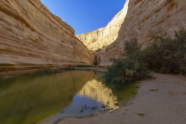 Ein Avdat Milli Parkı Kanyonu, Negev Çölü