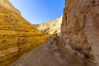 Ein Avdat Milli Parkı Kanyonu, Negev Çölü
