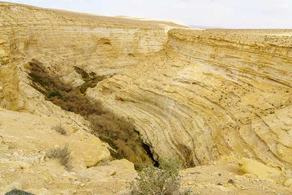 Vista superiore del Canyon del Parco Nazionale di Ein Avdat — Foto Stock