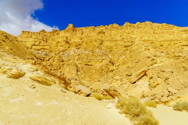 Acantilados del monte Ardon, parte de Makhtesh (cráter) Ramón — Foto de Stock
