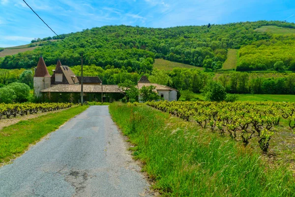 Szőlőskertek és tájak, valamint régi kastély a Beaujolais-ban — Stock Fotó