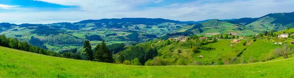 Paysage panoramique au lever du soleil avec vignobles et campagne à — Photo